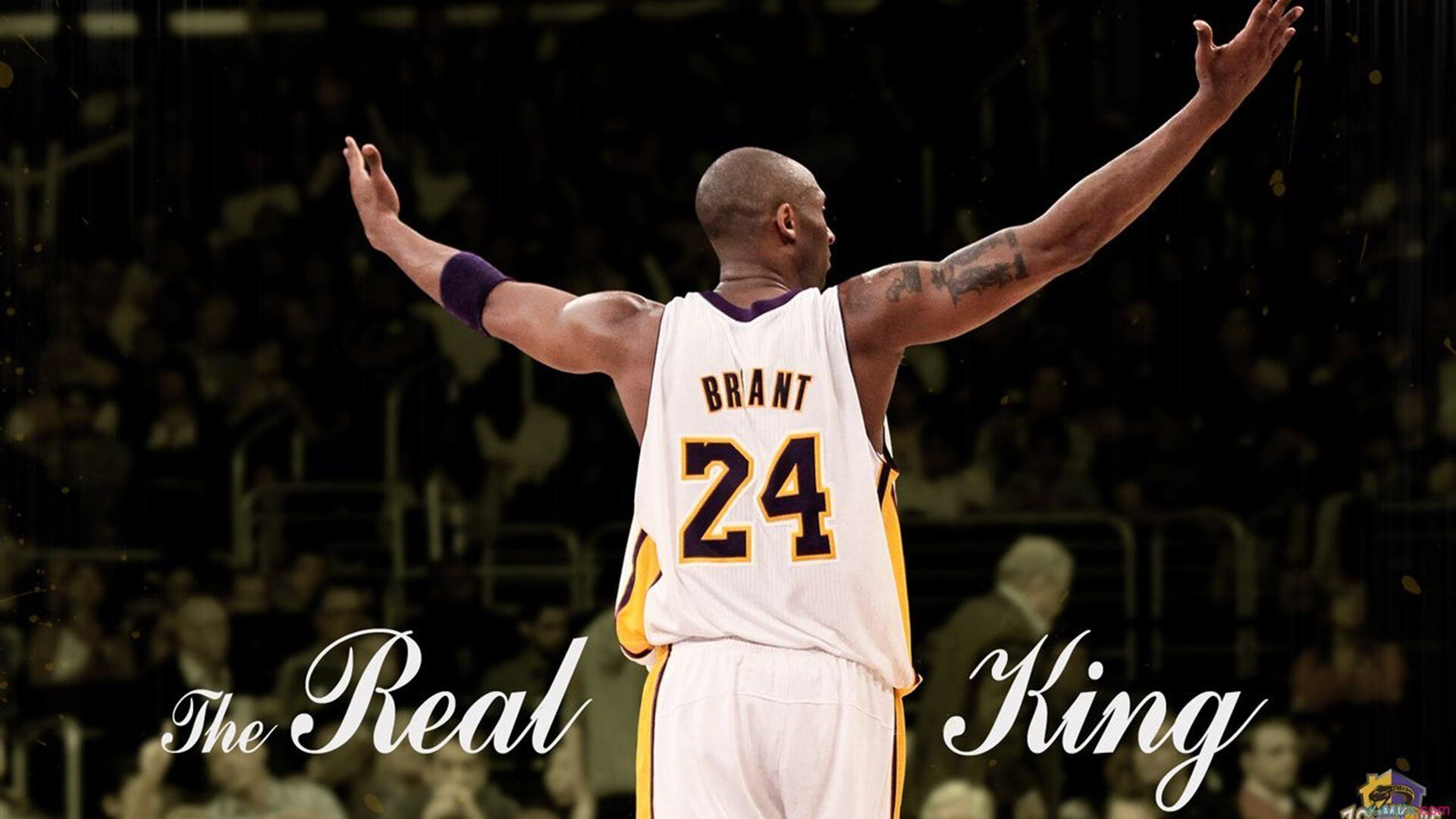 _森林狼追梦季后赛，士气高昂_，森林狼队比赛